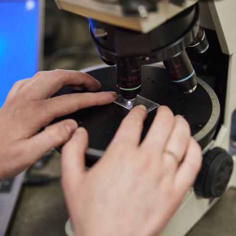 A persons hands on a microscope slide