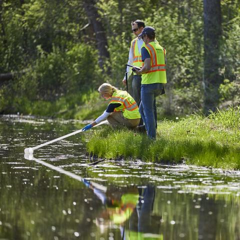 water_sample_at_pond