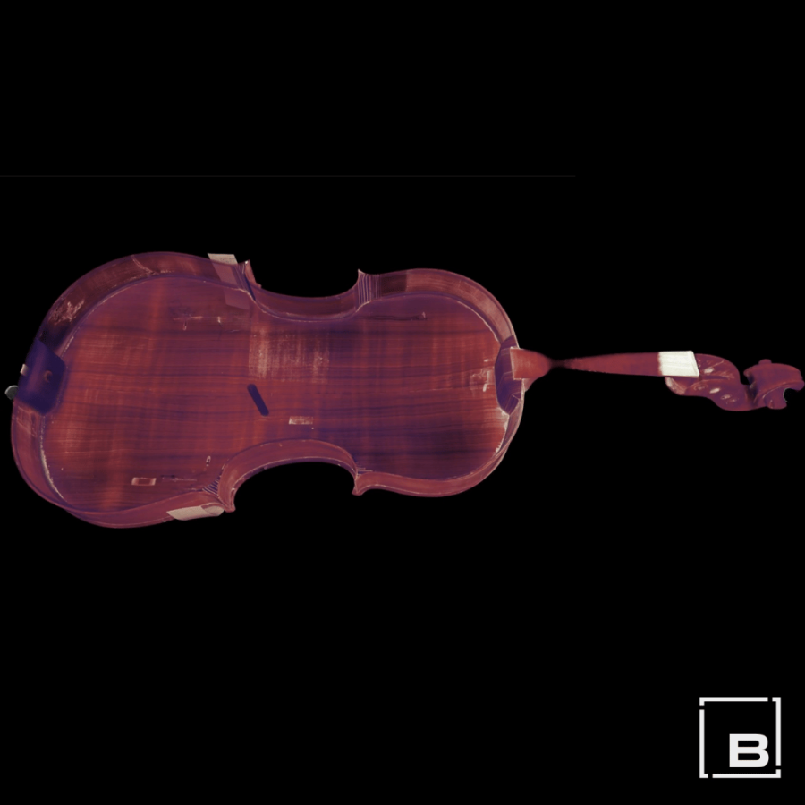 NE Viola Scan